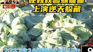 2025年最新一期校園躲貓貓大賽：全校學生化身獵人，對6名玩家展開搜捕，贏百萬大獎