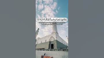 الم نجعل الارض كفاتا | تلاوت خاشعة 🥺 تلاوت موثرة 😔#قرآن #قران_كريم #اكسبلور | القارئ_محمدحذيفةقريشي