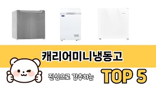 캐리어미니냉동고 추천 5 쇼핑정보