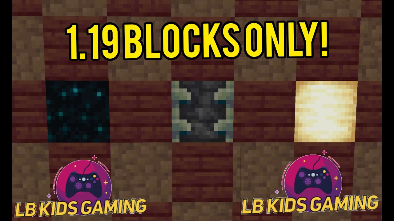 Minecraft Building BUT I Can Only Use 1.19 Blocks! - YouTube