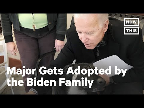 Meet Joe Biden's Rescue Pup Major | NowThis x The Dodo