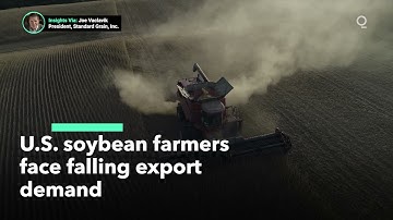 USDA Forecasts Falling Soybean Yields and Demand