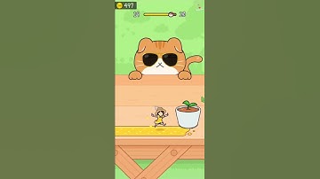 Hide and Seek: Cat Escape! Level 19! Gameplay Walkthrough #cat #hideandseek #catescape  #gameplay