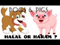 Islam  haraam pets  interesting facts by affan 