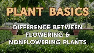Différence entre les plantes à fleurs et non en fleurs