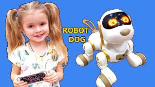 Радиоуправляемая робот собака.  Smart Robot dog Dexterity