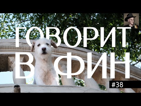 ВАФИН 38: НАУКА - ЭТО ДВОРОВЫЕ СЛУХИ. ФРУКТ ДОЛЖЕН СТРАДАТЬ. КИСКА В ДЕСНЕ. КЛАДБИЩЕНСКАЯ ПРОПАГАНДА