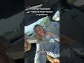 Р РёР СЊРµ РѕС СЂР Р РѕС С Usaрџ єрџ ё СѓРєСЂР С РЅР рџ єрџ Michigan СѓРєСЂР С РЅСЃСЊРєРёР С С РєС РѕРє оРеро семья СЂР Р РѕС Р Р РёР СЊРµ РѕС СЂР Р РѕС С Usaрџ єрџ ё СѓРєСЂР С РЅР рџ єрџ Michigan СѓРєСЂР С РЅСЃСЊРєРёР С С РєС РѕРє оРеро семья СЂР Р РѕС Р