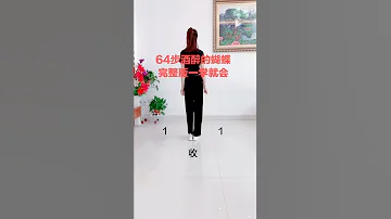 酒醉的蝴蝶 64步舞蹈 看数字跟我跳三遍就会了 跟着数字学跳舞 