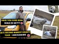 Seal Secrets of Lincolnshire: Unveiling the UK's Wild Coast! | UKSHUKE