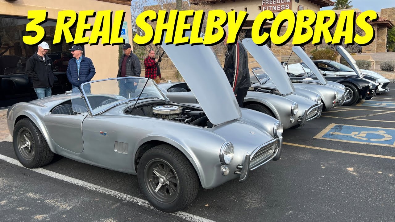 Chelsy【289 Le Lien】様 リクエスト 2点 a171 a111 3 REAL Shelby Cobras and a Continuation Car! - YouTube