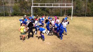 Jacksonville Dixie Blues Harlem Shake
