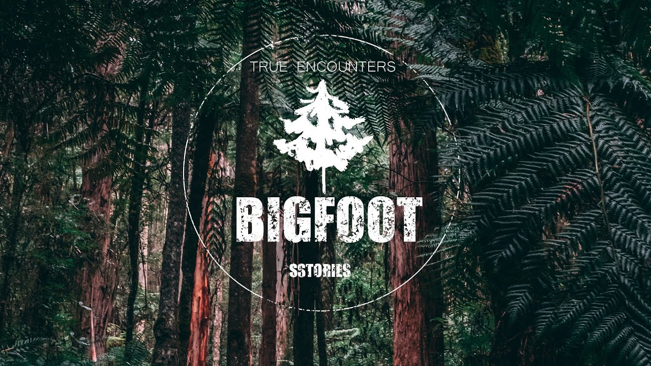 BIGFOOT Telepathically Communicates If You Hurt Me I'll Kill You And Your Friends | SASQUATCH
