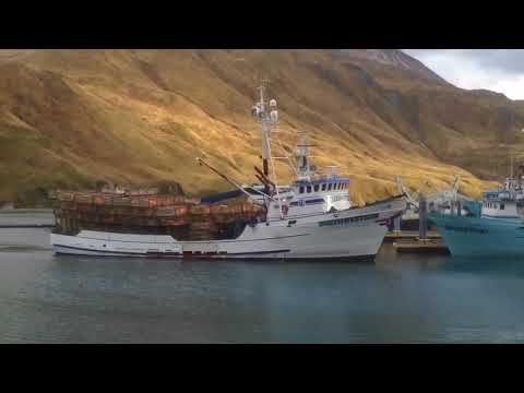 Video: Hoeveel instapsones het Alaska?