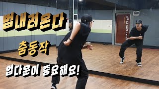 락킹동작 리오워크 범 내려온다 댄스배우기 Tiger is Coming Dance Locking Routine Leo Walk