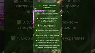 Полезные свойства расторопши #зеленаяведьма #народнаямедицина