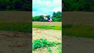 latest video short comedy desi stunt gymnastic Pawan Singh khesari lal Yadav ke gane viral