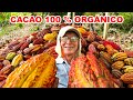 Viajé hasta la SELVA CENTRAL 🇵🇪 en busca del MEJOR CACAO 100% ORGÁNICO | Jordy Aventurero