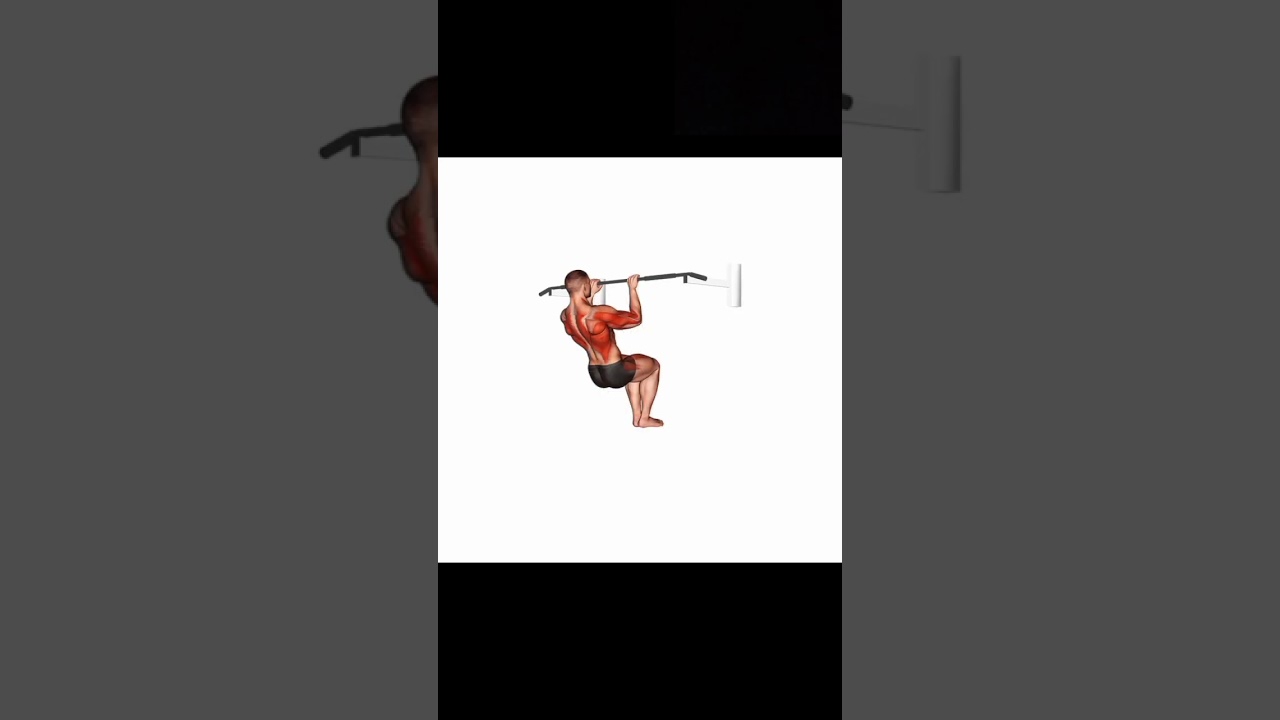 muscle up workout target muscle 💪💪💪❤️❤️❤️