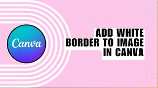 ❤️ EXPERT: How to Add WHITE BORDER to Image in Canva (3 min!) | 2024