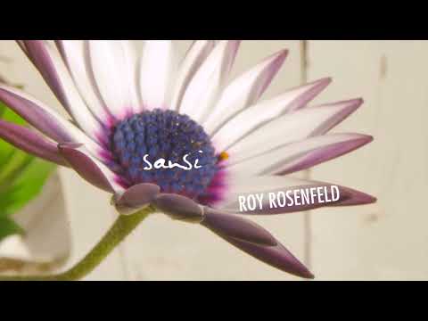 Roy Rosenfeld - Sansi [All Day I Dream] PROMO