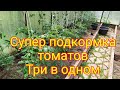 Супер подкормка томатов/завязь, профилактика фитофторы, налив плодов