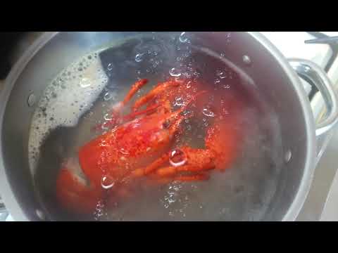 Wideo: Czy Red Lobster używa mrożonego homara?