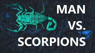 Will A Shotgun Kill A Scorpion? Bug-A-Salt (Salt Shotgun) by Wood Nerds 24,718 views 3 years ago 4 minutes