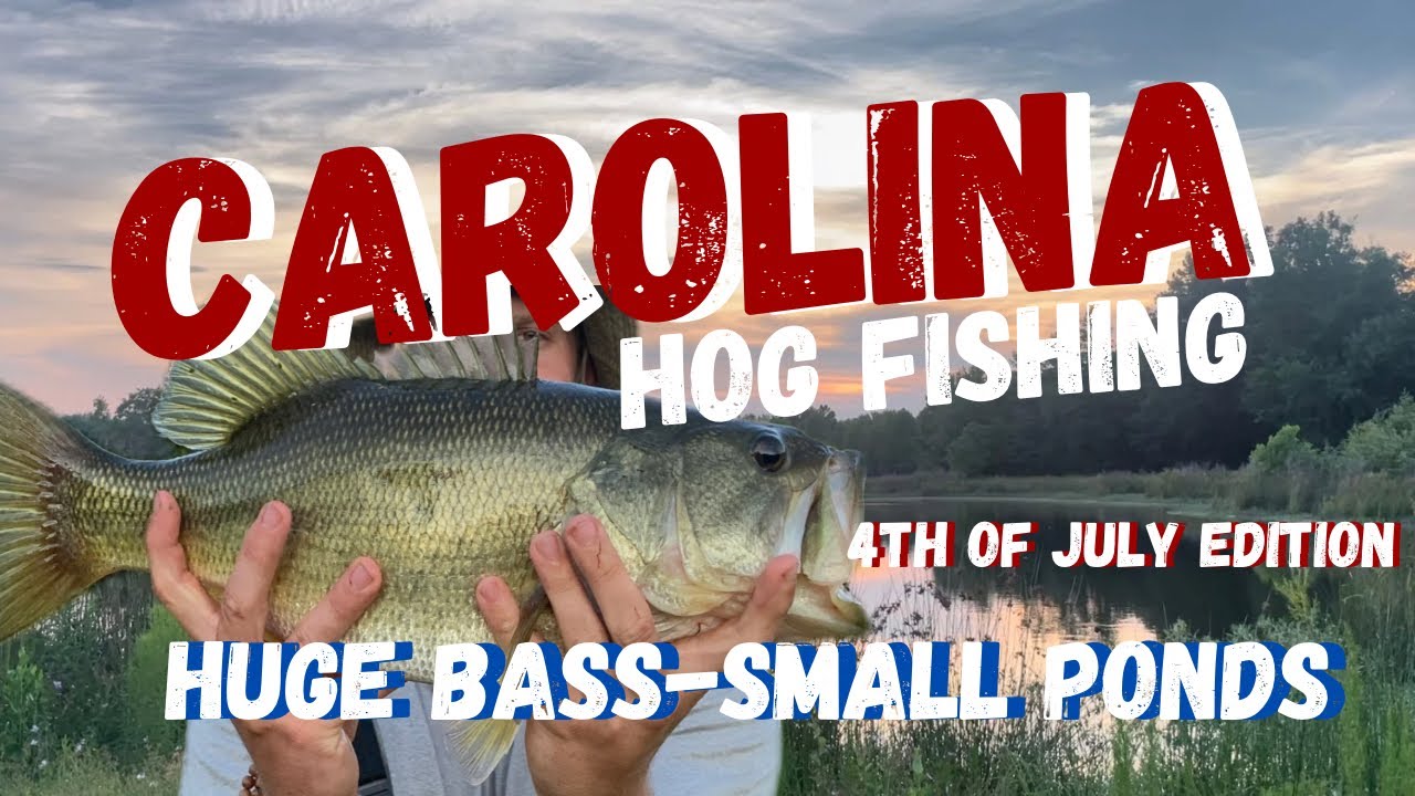 Big Carolina Bass Fishing (4th of July Edition)