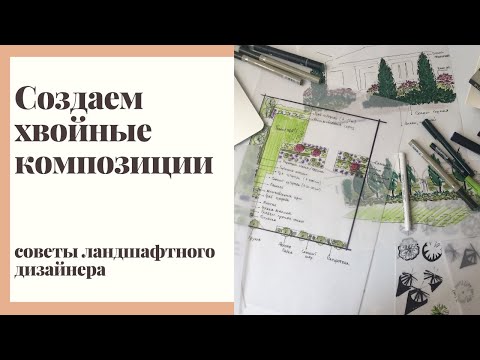 3 простые композиции с использованием хвойных растений. Советы ландшафтного дизайнера.