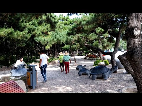 Китай, Бэйдайхэ 北戴河 / China's Beach City - Traveling to Beidaihe)