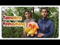 5 fantastische Tomaten im 100 Sorten Gewächshaus