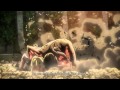 Eren Titan Form Vs Annie Titan Form Final Battle Shingeki No Kyojin SNK 
