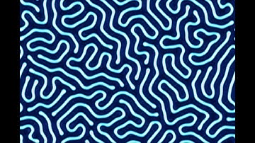 FitzHugh Nagumo Model Simulation Stripes