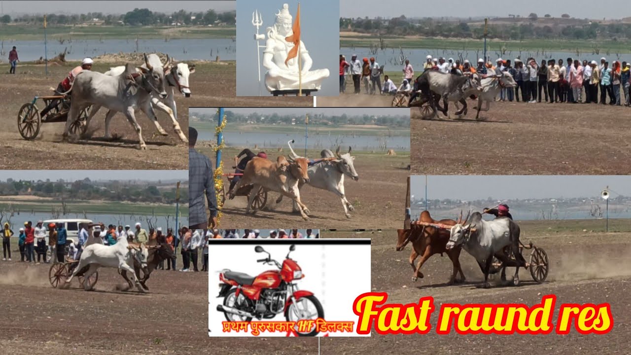 All videos fast raund पट प्रतियोगिता मोआर जिला छिंदवाड़ा 24/4/2025 राज्य स्तरीय बैल गाड़ी दोड़