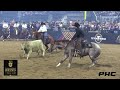 Adan banuelos and all spice the american performance horseman cutting horse champions 229 points