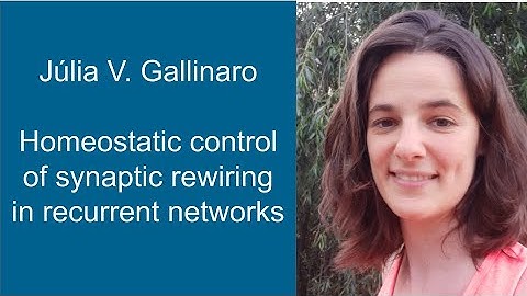 Júlia V. Gallinaro - Homeostatic control of synaptic rewiring in recurrent networks
