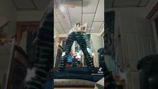 Only fans girls be like  #fypシ  #fyp  #onlyfans