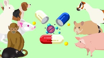 How Medicines Are Made
