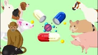 How Medicines Are Made