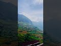 Nature 🇱🇰🌿🍃 #nature #travel #nuwaraeliya #srilankanbeach #2025 #southasia #india #trending