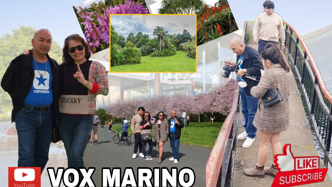 Spring flowers,Cherry blossom at Auckland botanic gardens,NZ.(FUN!!)With the family