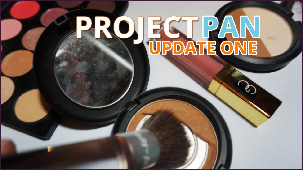 Project Pan 2017 Update #1 | freethetomatoes