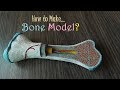 How to make bone model