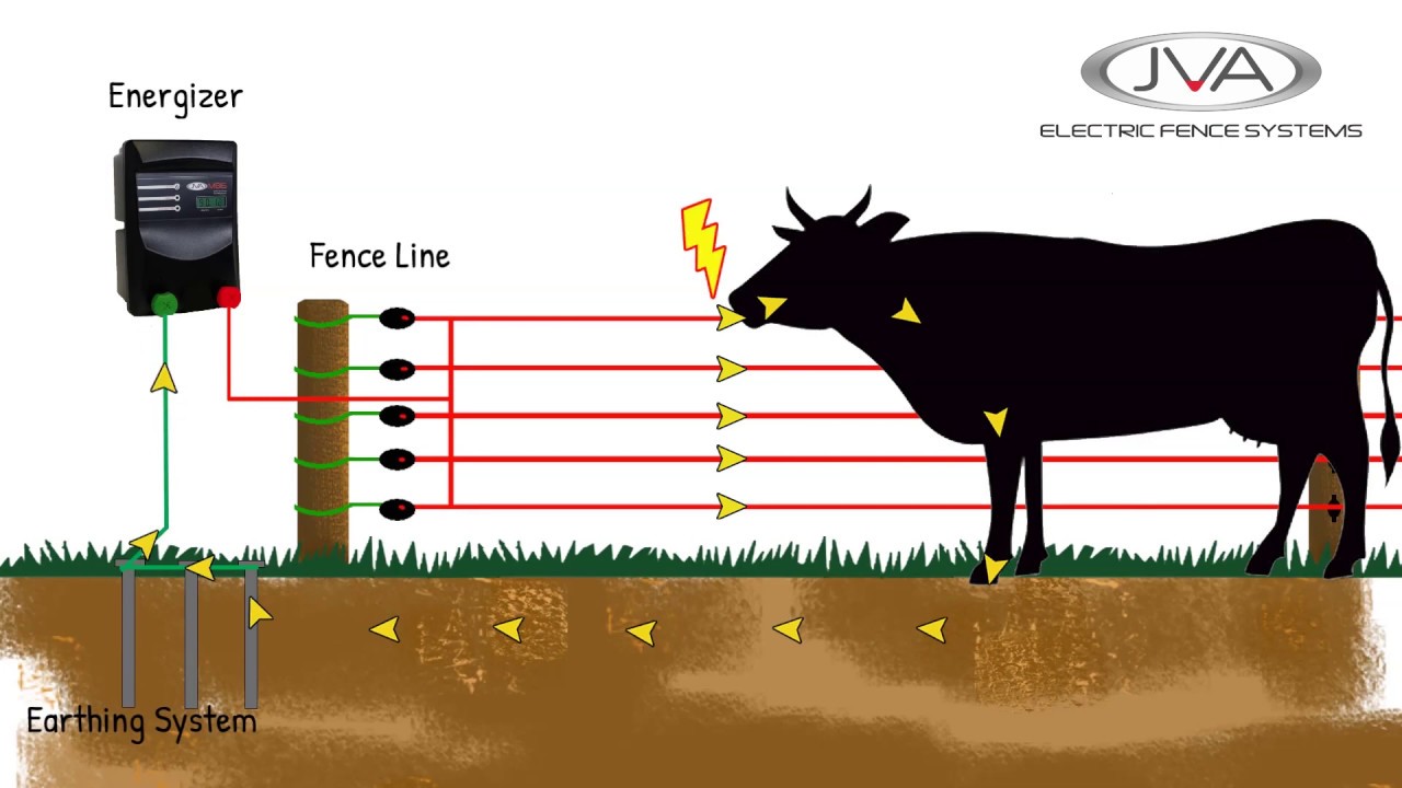 How does an electric fence work?