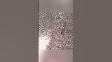 The Mighty Lava Flow of Mount Kilauea: A Visual Delight