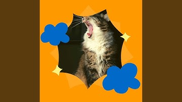 Pulsating Lonely Cat