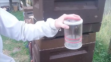 Varroa Mite counting, using CO2