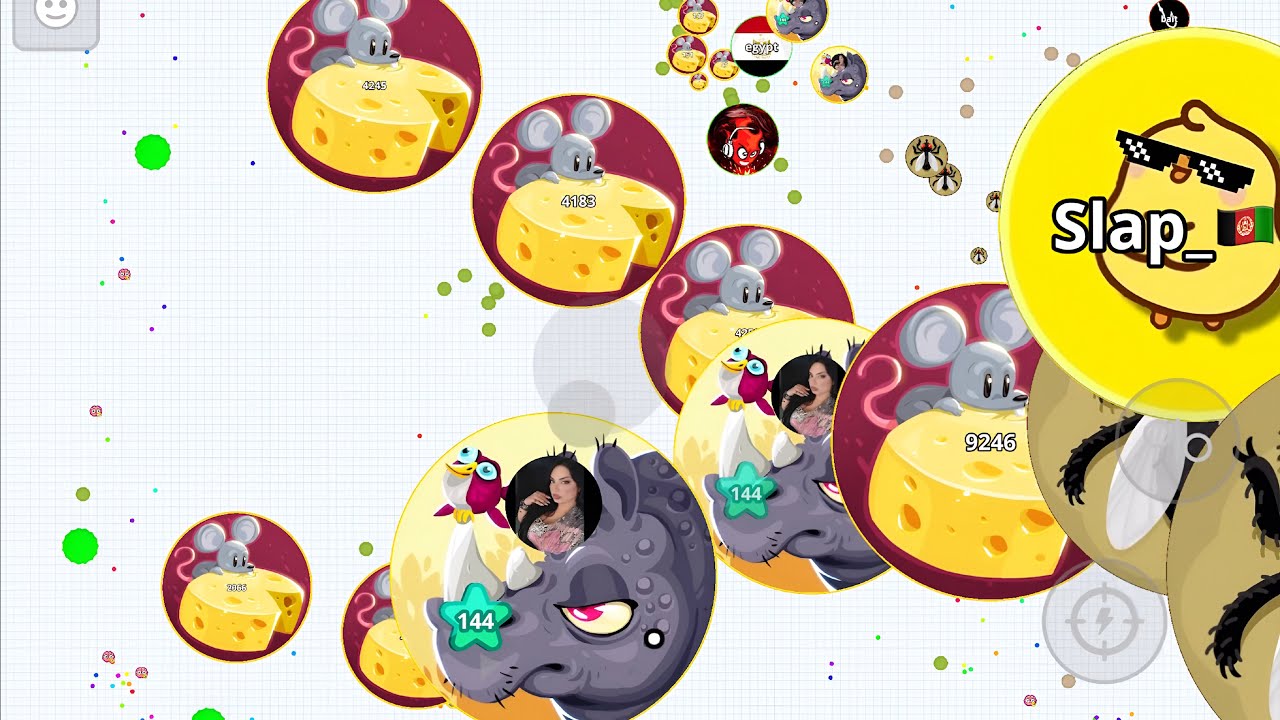 THE BEST DESTROYING SERVER (AGARIO MOBILE)