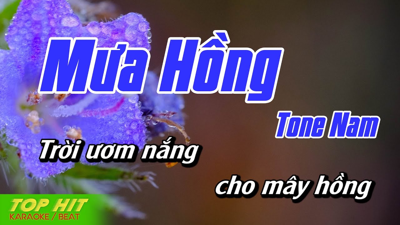 Mưa Hồng Karaoke Tone Nam | Nhạc Sống Chuẩn Phối Mới Dễ Hát TOP HIT KARAOKE